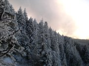 11.27.05 Nesmith Point 086 